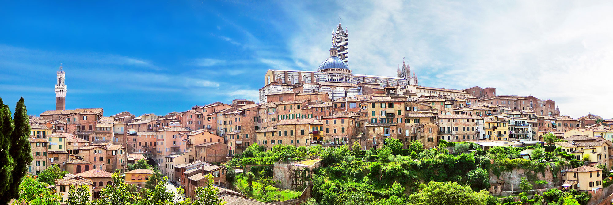 Clicca per accedere all'articolo CELEBRAZIONE “GIORNATA DEL MEDICO E DELL’ODONTOIATRA 2022”